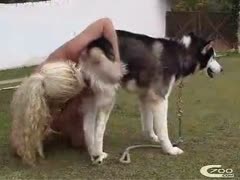 When she copulates with her dog, the neighbor is an immoral spy.